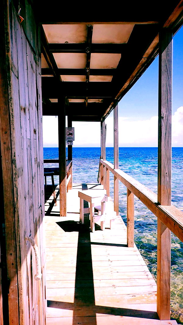 itsnellxoxo image ~ Altpins