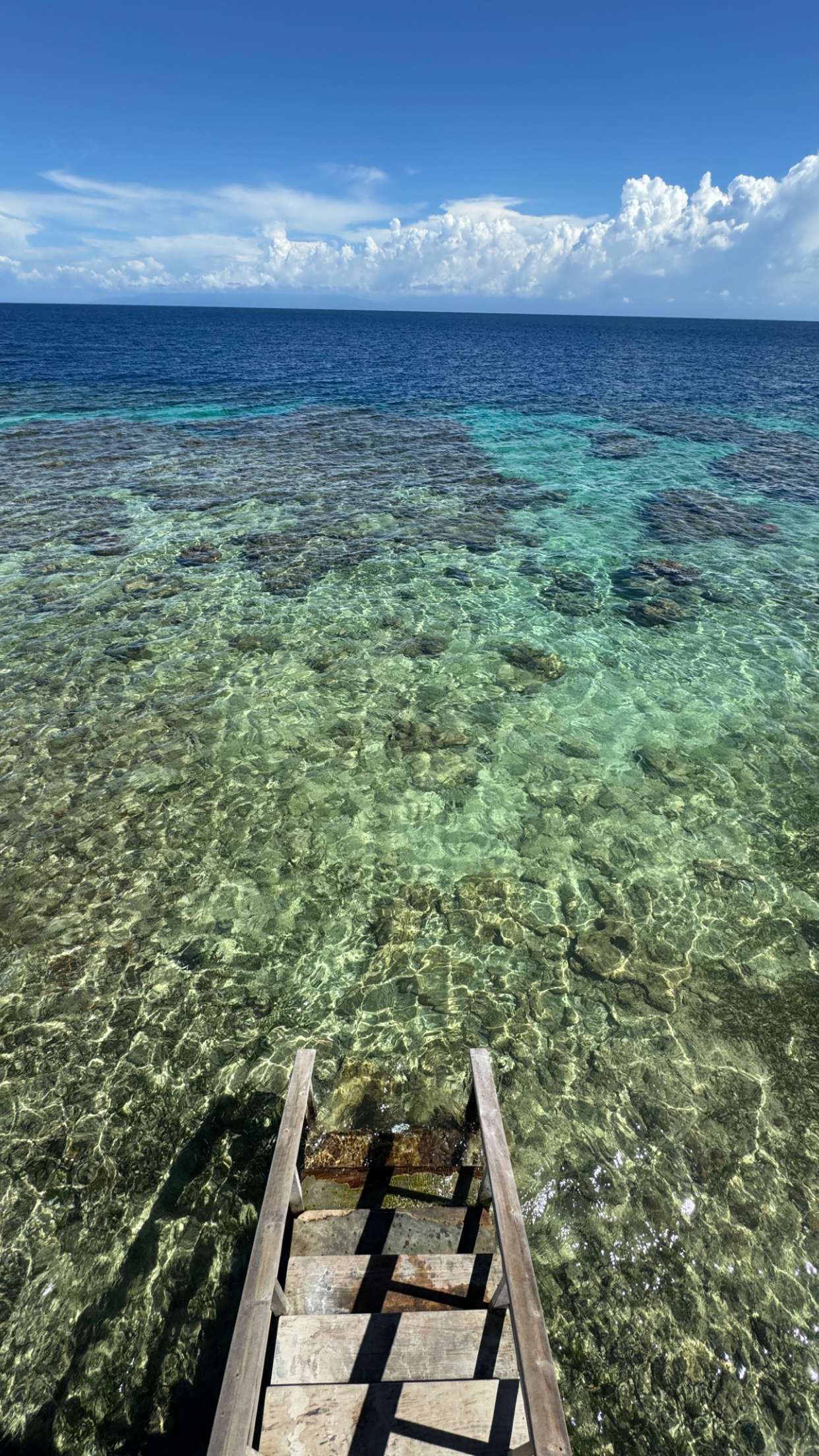 itsnellxoxo snapchat image archive image