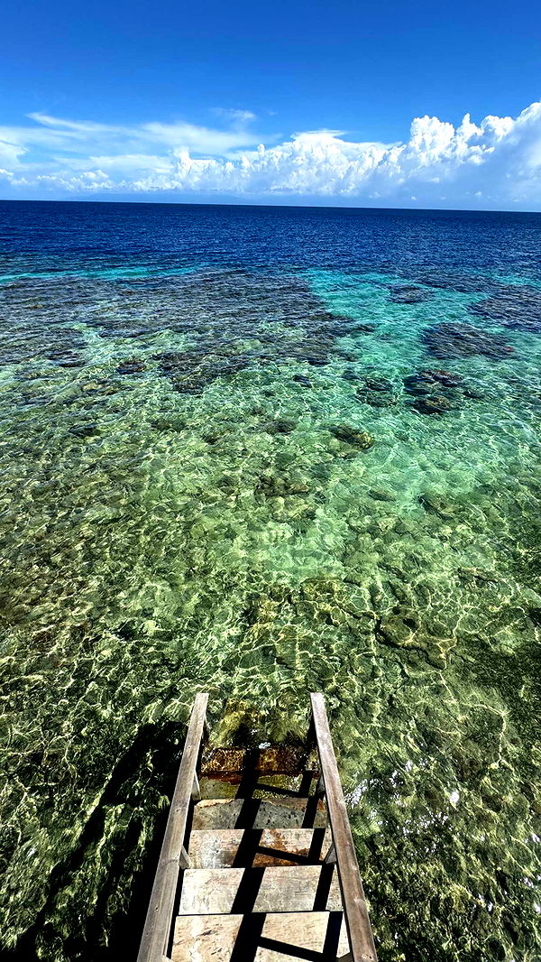 itsnellxoxo image ~ Altpins