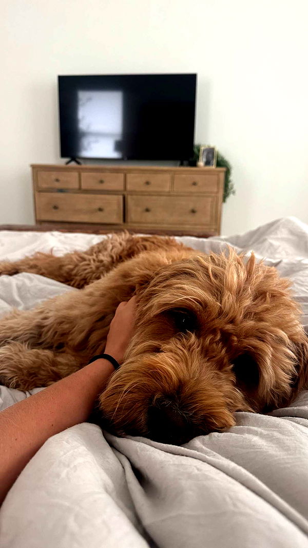 itsnellxoxo image ~ Altpins