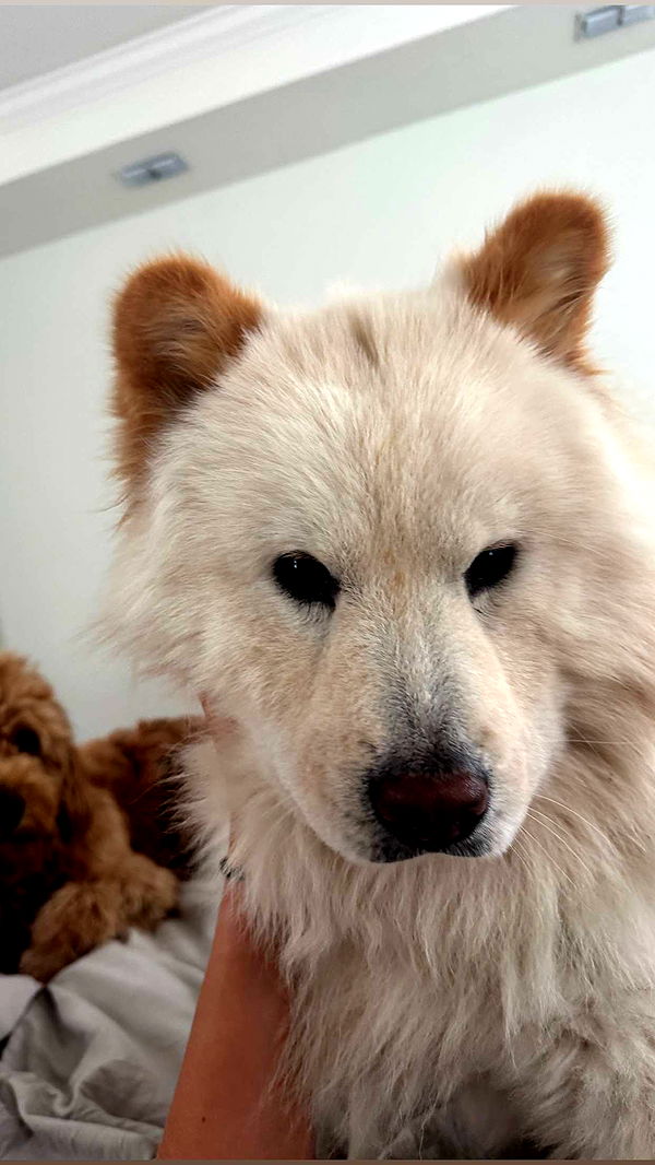 itsnellxoxo image ~ Altpins