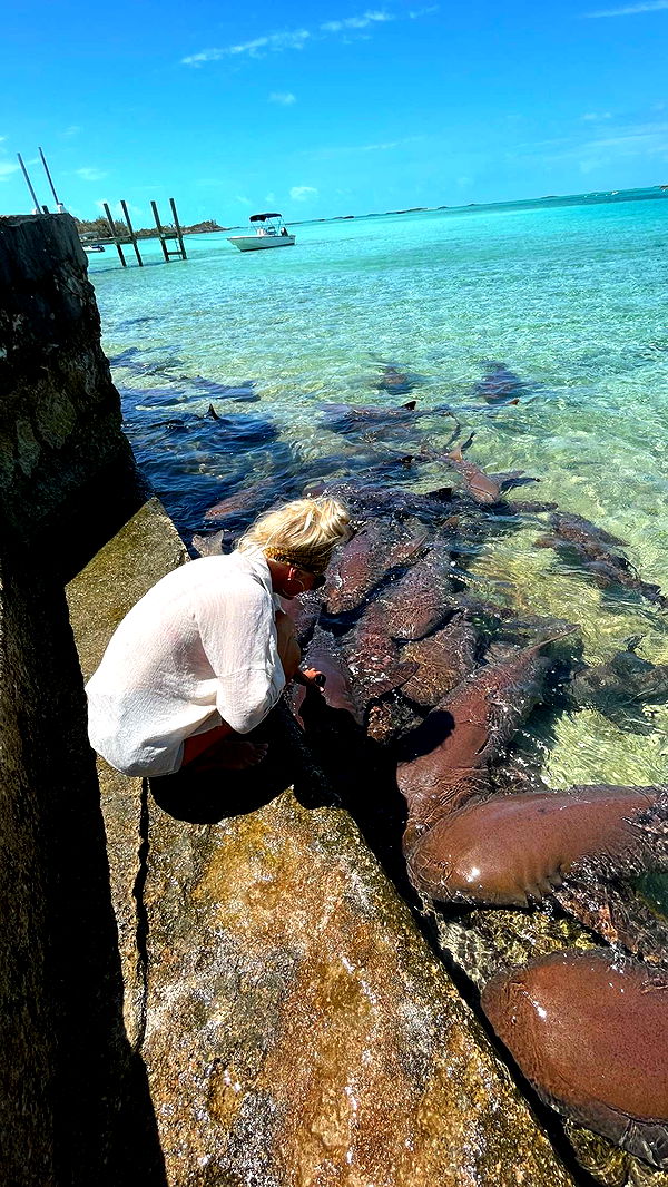 itsnellxoxo image ~ Altpins