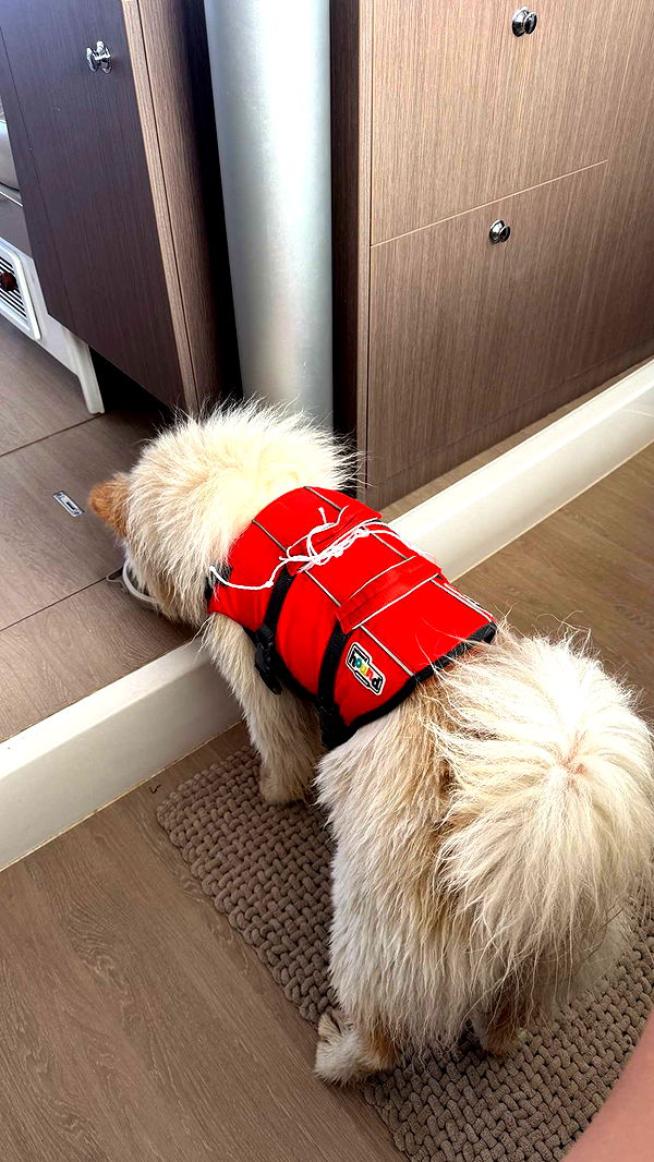 itsnellxoxo image ~ Altpins