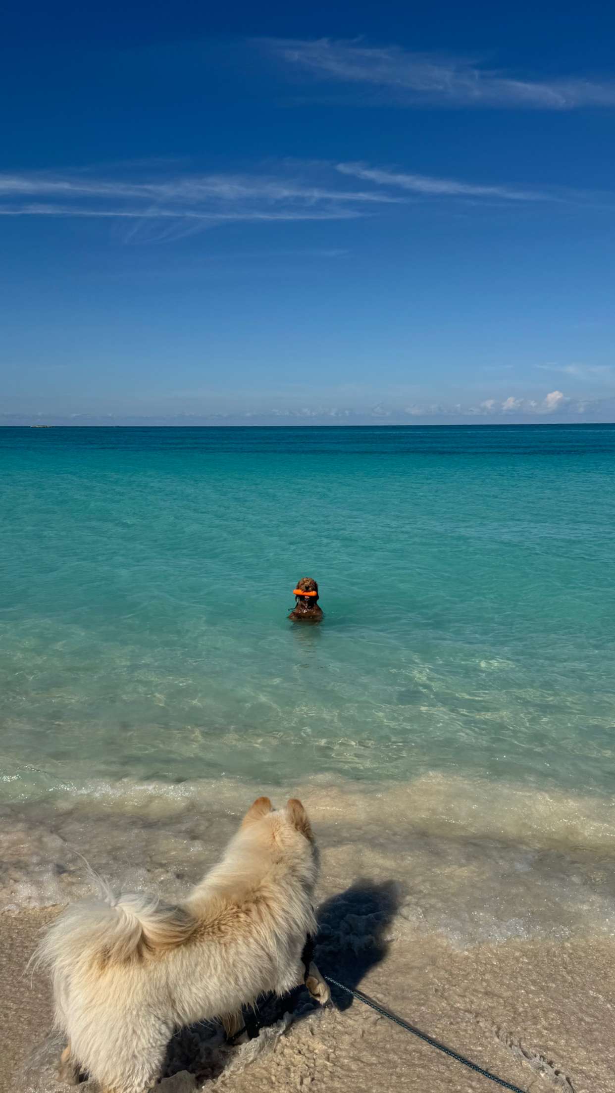 itsnellxoxo snapchat image archive image