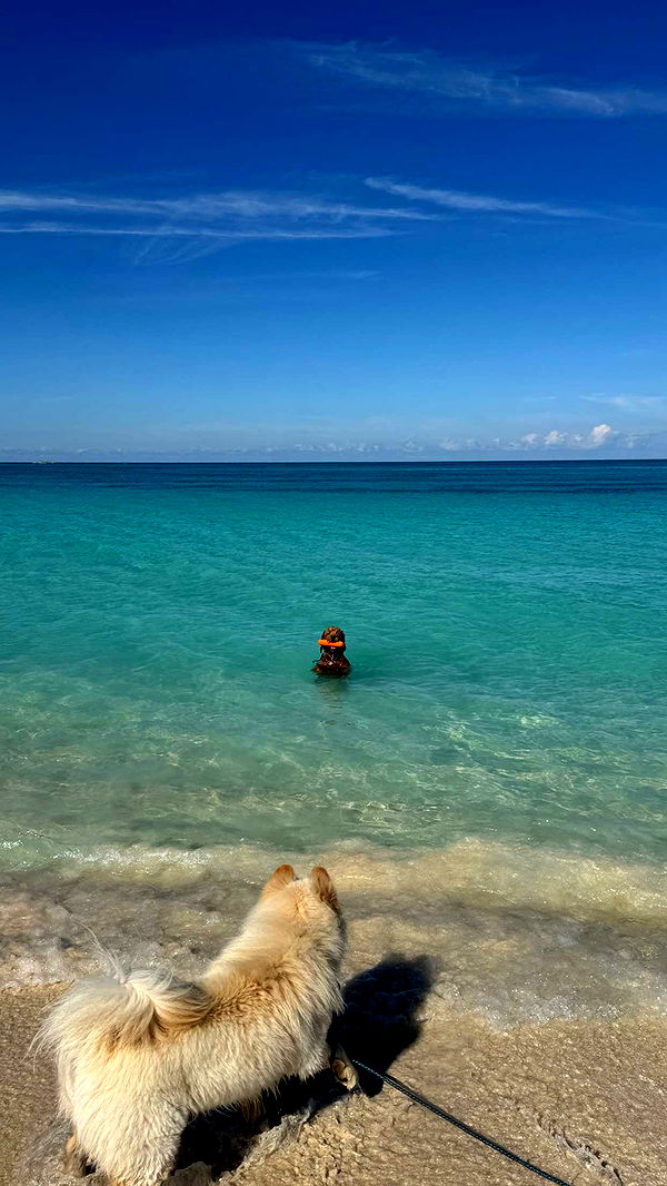 itsnellxoxo image ~ Altpins