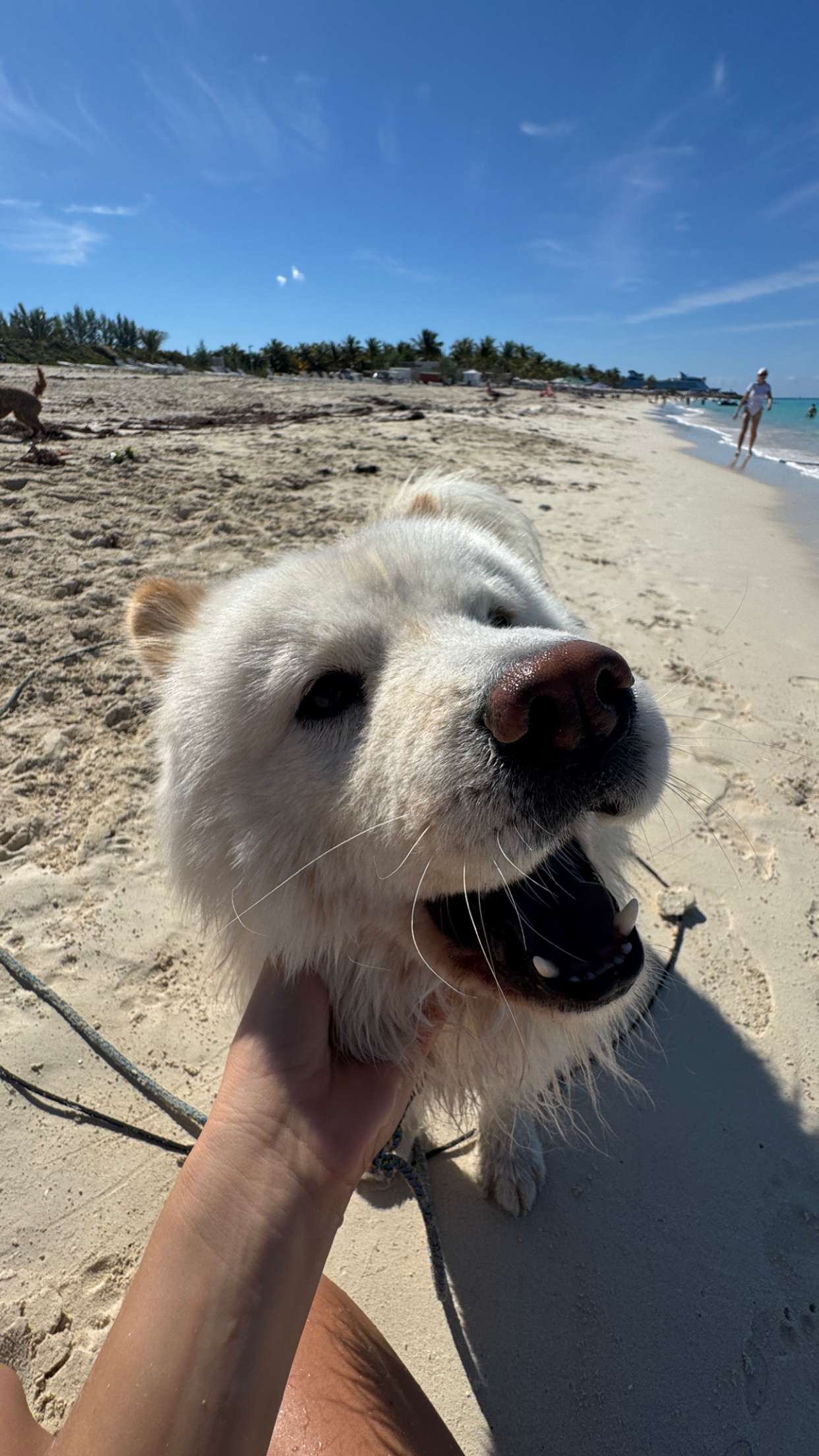 itsnellxoxo snapchat image archive image