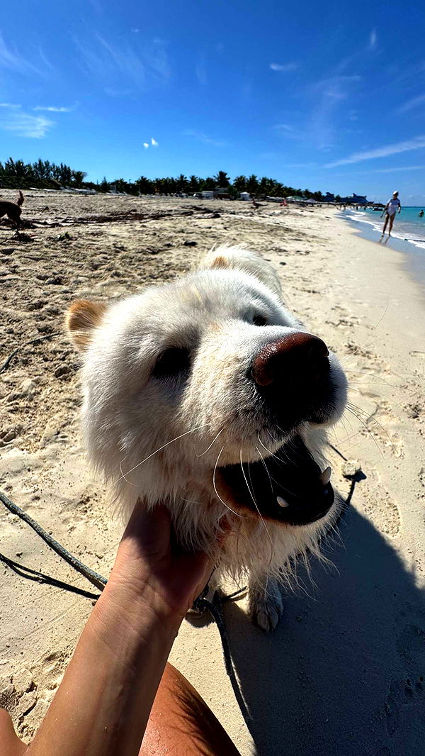 itsnellxoxo image ~ Altpins