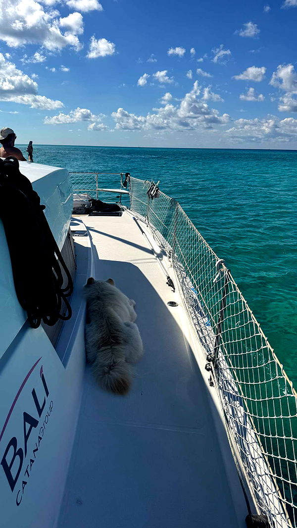 itsnellxoxo image ~ Altpins