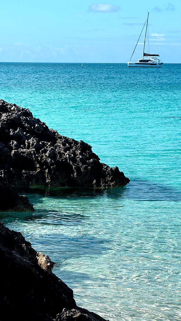 itsnellxoxo image ~ Altpins