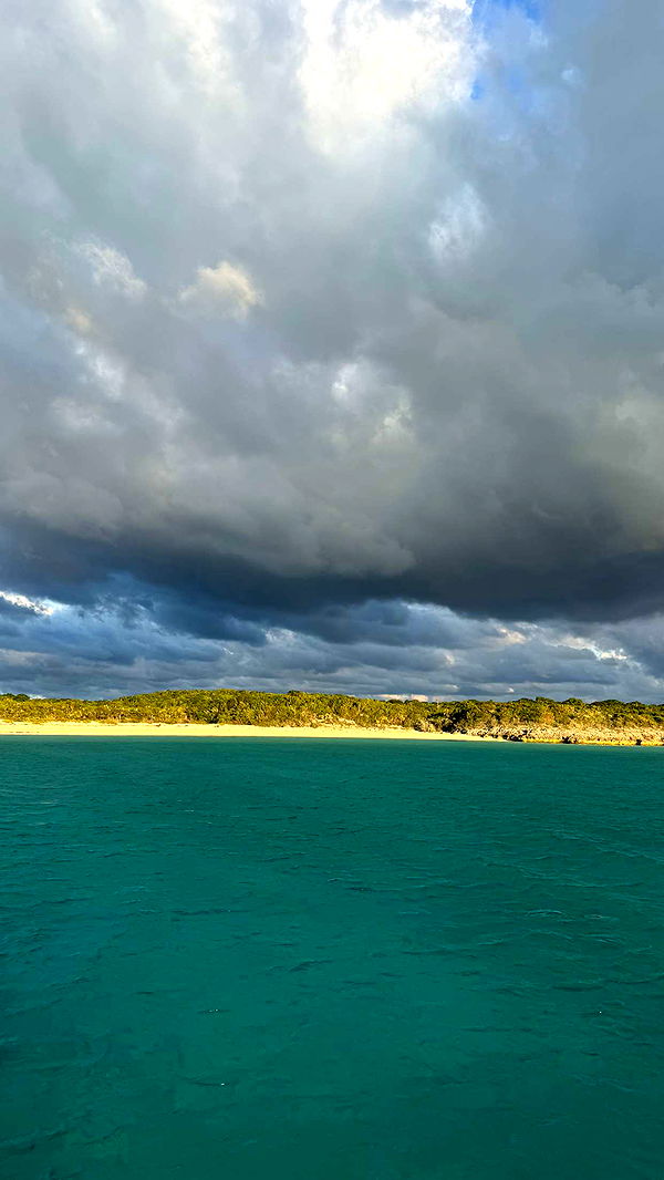 itsnellxoxo image ~ Altpins