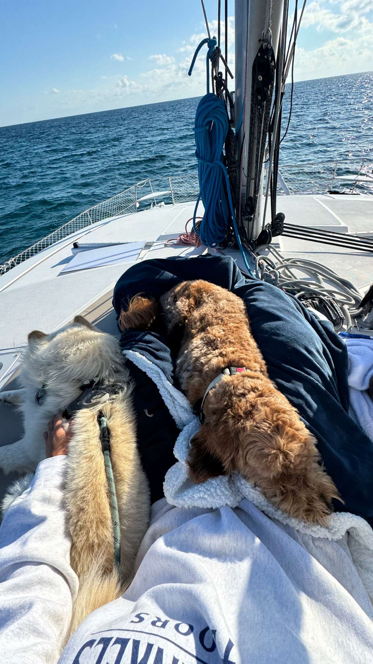 itsnellxoxo snapchat image archive image