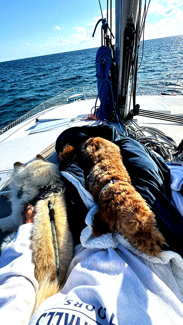 itsnellxoxo image ~ Altpins