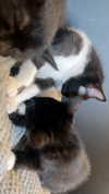 itzritamae Altpins Profile Picture