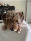 itzritamae Altpins Profile Picture