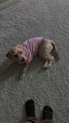 itzritamae Altpins Profile Picture