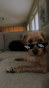 itzritamae Altpins Profile Picture