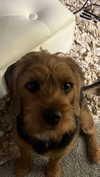 itzritamae Altpins Profile Picture