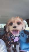 itzritamae Altpins Profile Picture