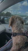 itzritamae Altpins Profile Picture