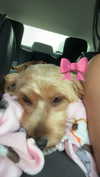 itzritamae Altpins Profile Picture