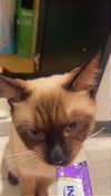 itzritamae Altpins Profile Picture