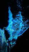 iwong.04 Altpins Profile Picture