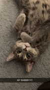 iwong.04 Altpins Profile Picture