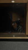 iwong.04 Altpins Profile Picture