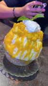 iwong.04 Altpins Profile Picture