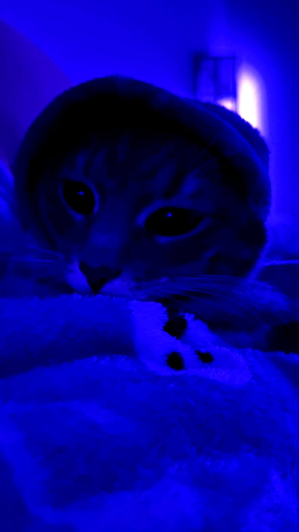 iwong.04 snapchat image archive image
