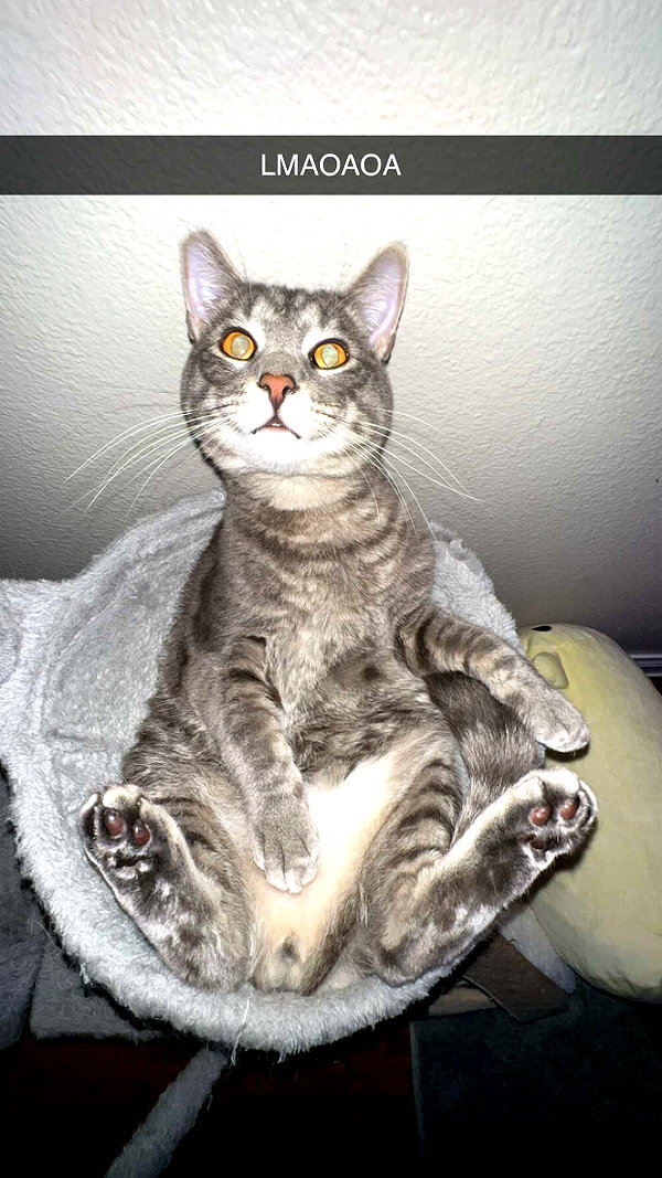 iwong.04 snapchat image archive image