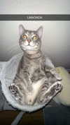iwong.04 Altpins Profile Picture