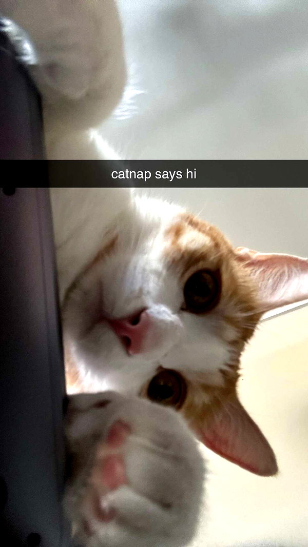 iwong.04 snapchat image archive image