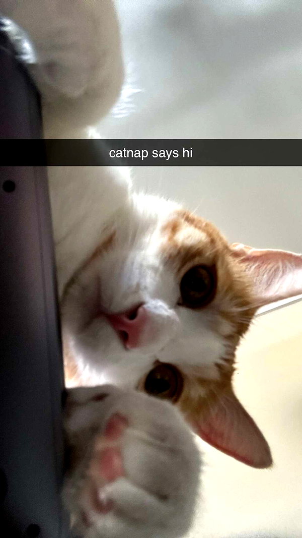 iwong.04 snapchat image archive image