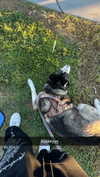 iwong.04 Altpins Profile Picture