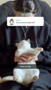 iwong.04 Altpins Profile Picture