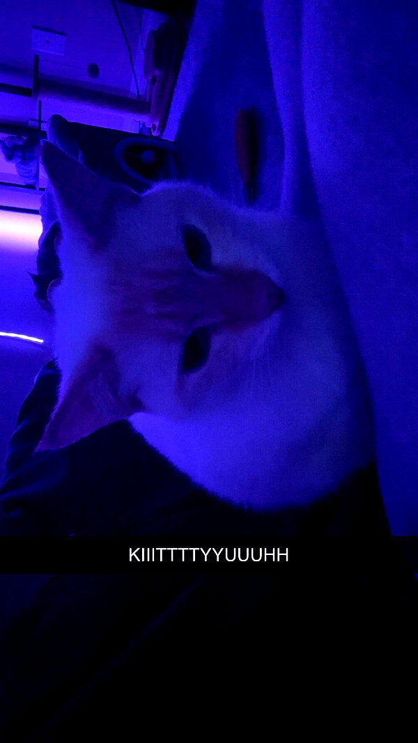 iwong.04 snapchat image archive image