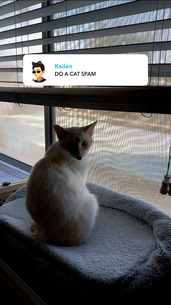 iwong.04 snapchat image archive image