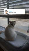 iwong.04 Altpins Profile Picture