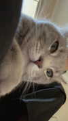 iwong.04 Altpins Profile Picture