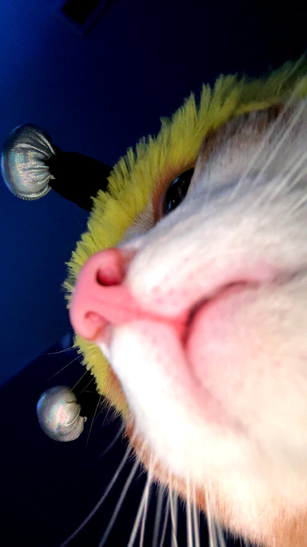 iwong.04 snapchat image archive image