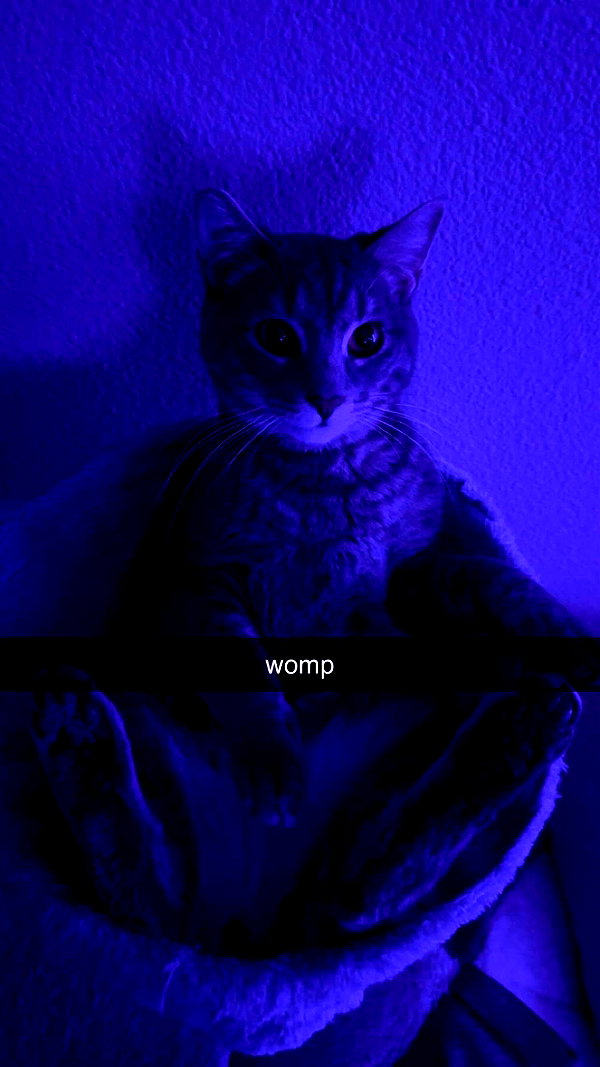 iwong.04 snapchat image archive image