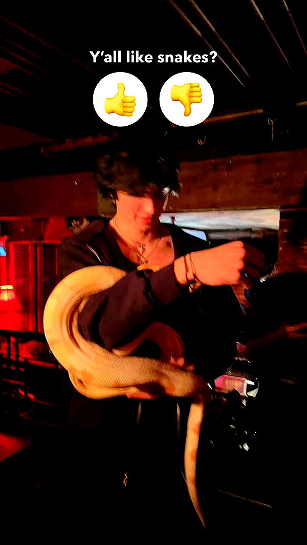 jacobxday image ~ Altpins