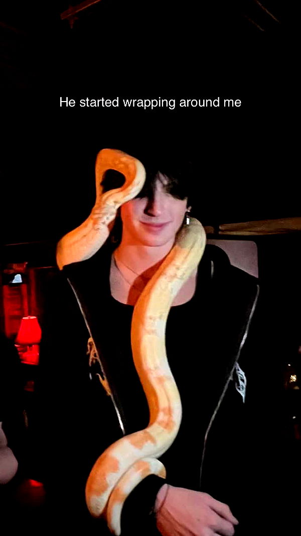 jacobxday image ~ Altpins