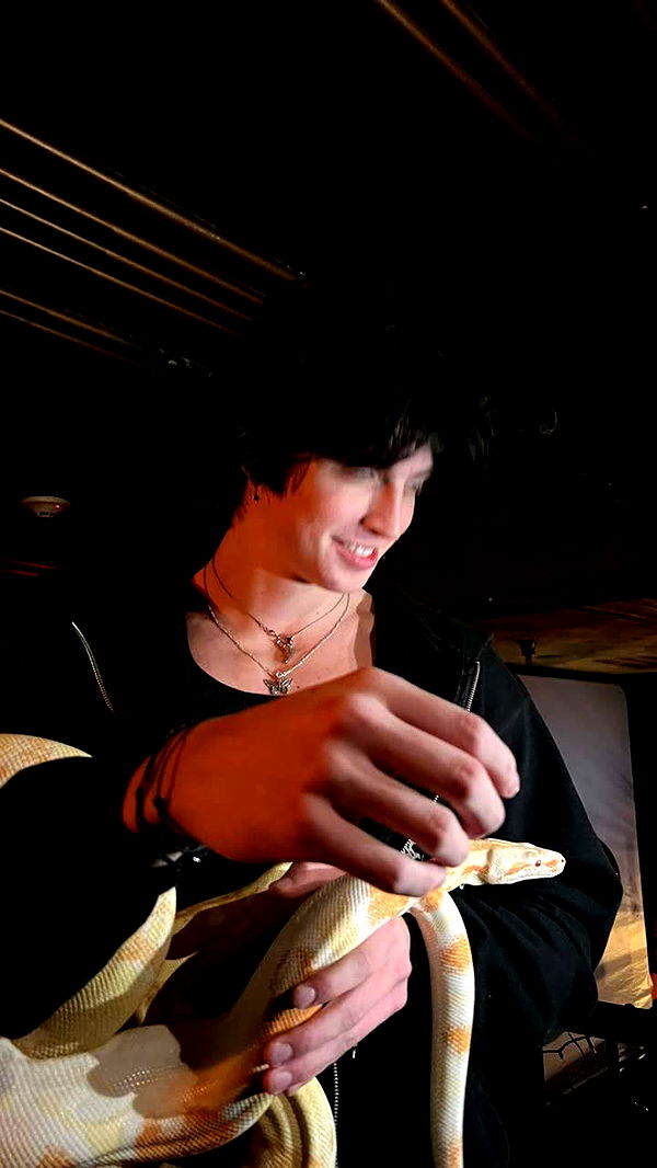 jacobxday image ~ Altpins