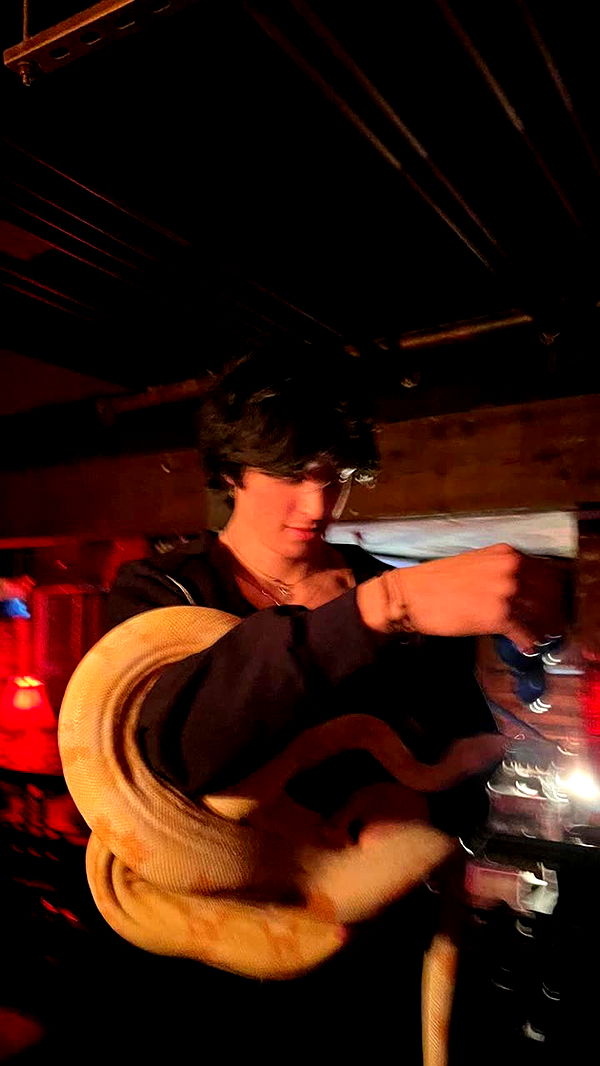 jacobxday image ~ Altpins