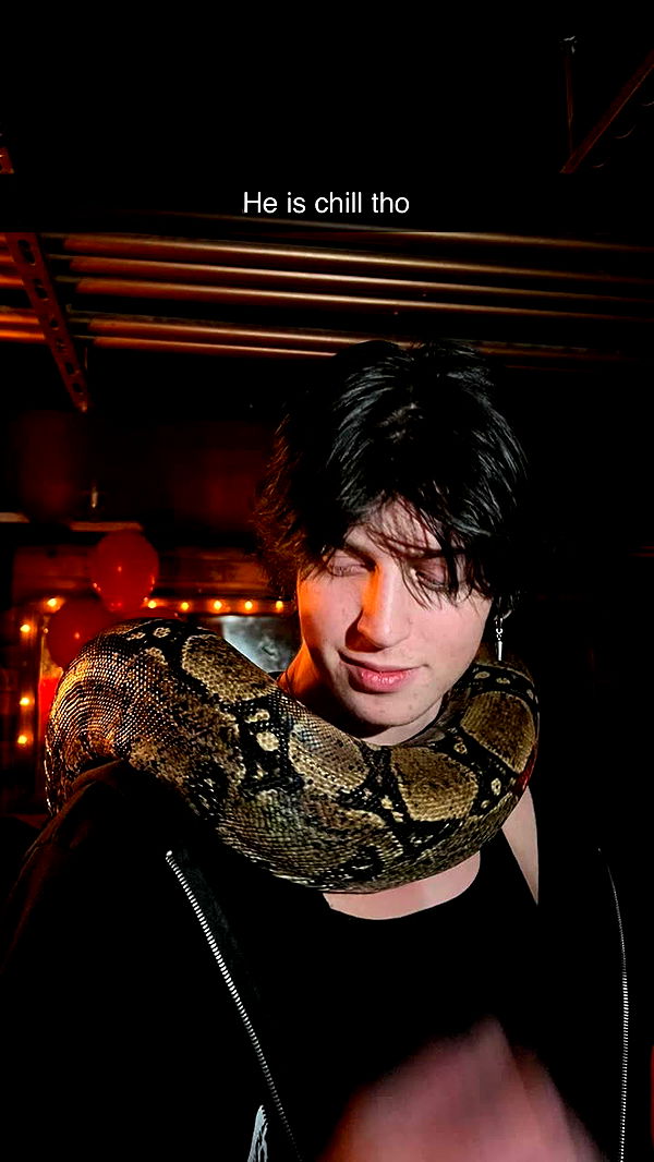 jacobxday image ~ Altpins