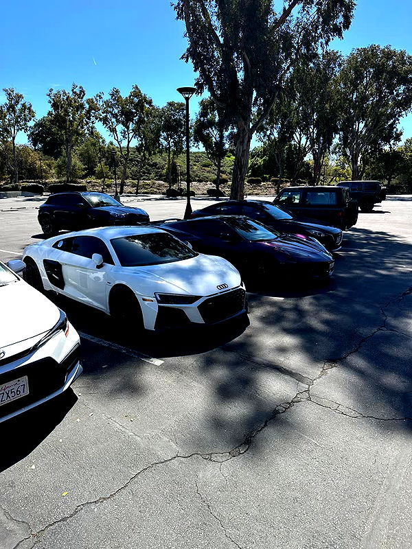 jacobxday image ~ Altpins