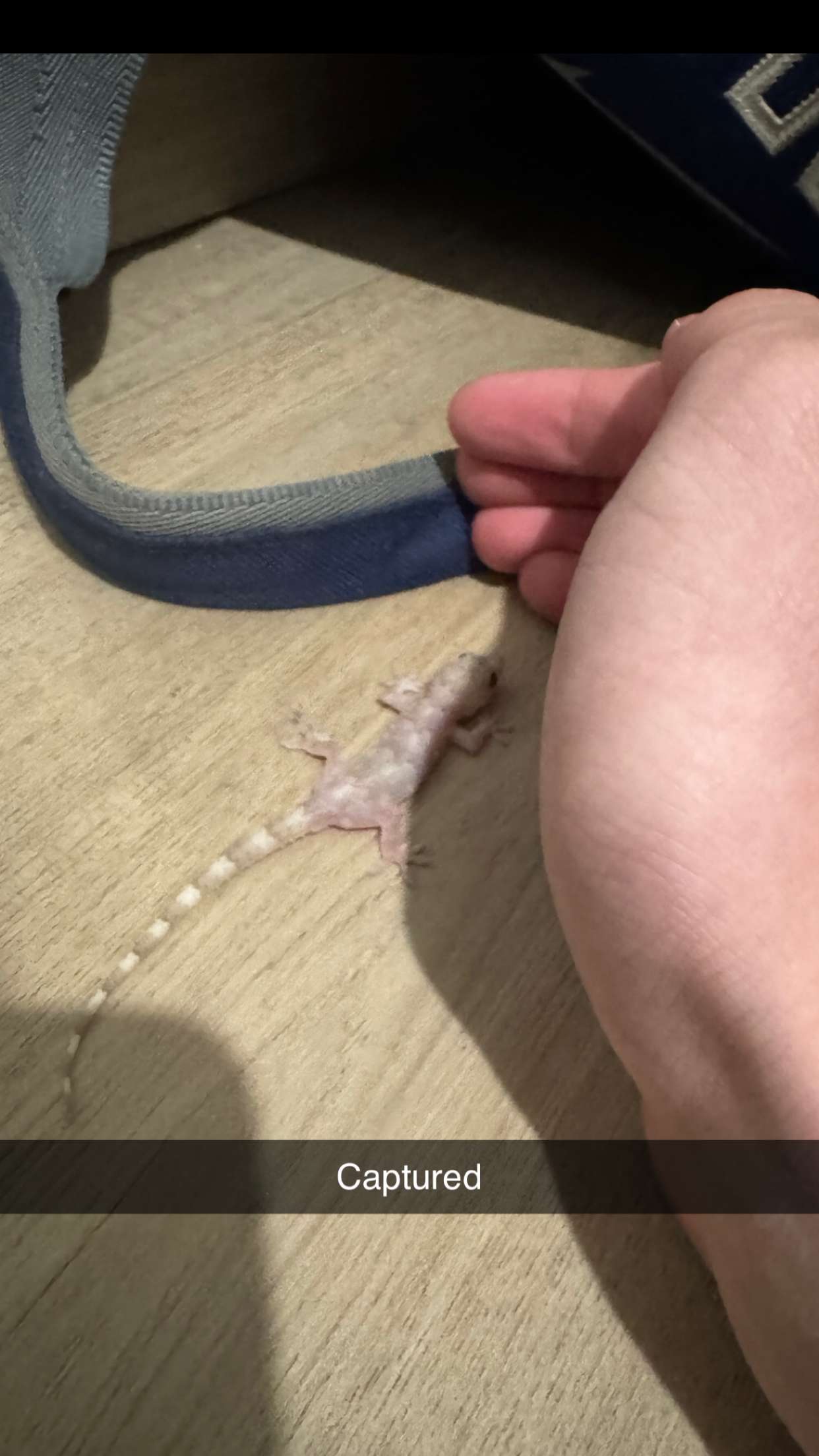 jacobxday snapchat image archive image