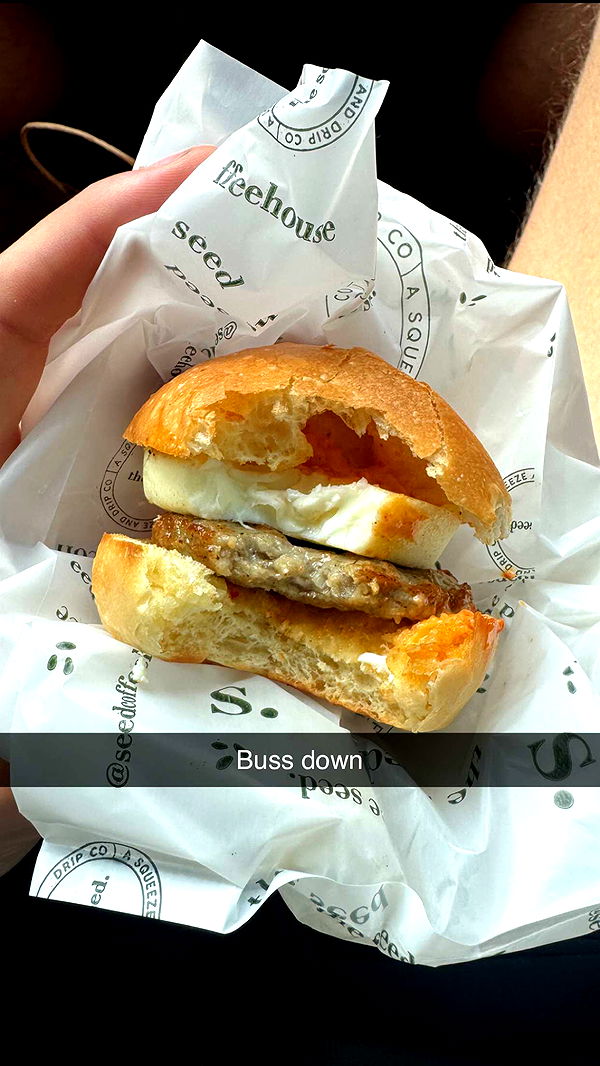 jacobxday image ~ Altpins